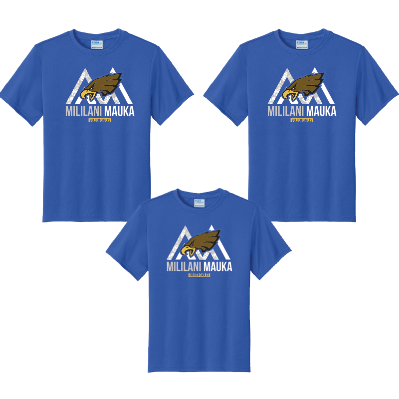 Eagle Shirt, Dri Fit Tee 3 pack